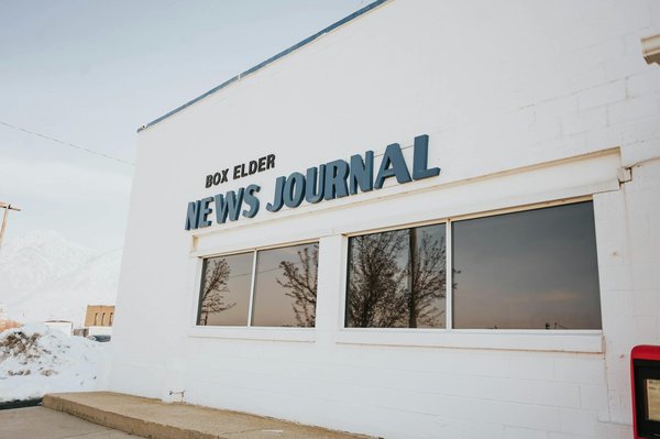 How Can You Make Your Garden More Eco-Friendly?